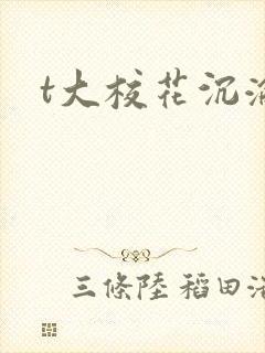 t大校花沉沦
