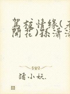 驾校情缘(老树开花)孙潇潇第一次趣笔阁封面