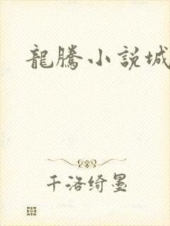 龙腾小说城封面