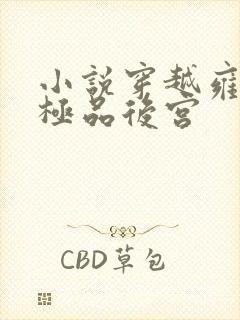 小说穿越雍正之极品后宫