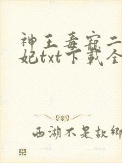 神王毒宠二嫁王妃txt下载全本