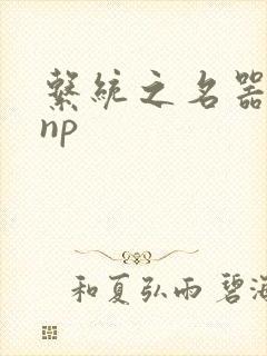 系统之名器攻略np