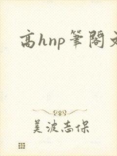 高hnp笔阁文