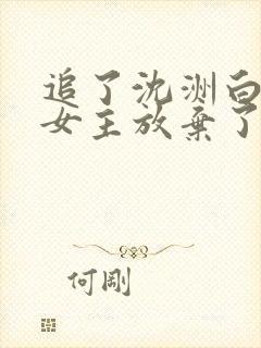 追了沈洲白十年女主放弃了