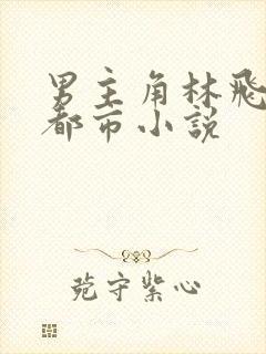 男主角林飞扬的都市小说封面