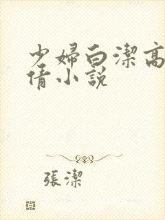 少妇白洁高义孙倩小说封面