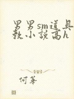 男男sm道具调教小说高h