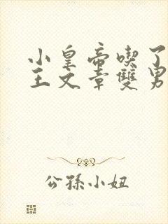 小皇帝吃了摄政王文章双男主