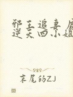 邪王追妻 废材逆天四小姐