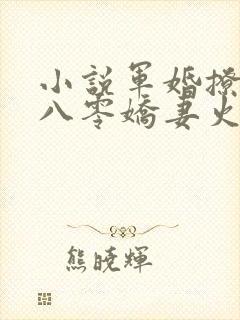 小说军婚撩人:八零娇妻火辣辣免费看封面