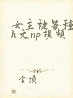 女主被各种调教h文np视频