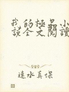 我的极品小姨小说全文阅读免费封面