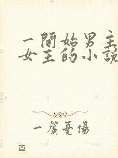 一开始男主想杀女主的小说