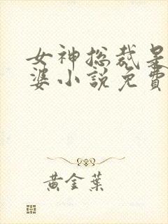 女神总裁是我老婆小说免费阅读