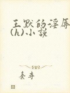 王默的淫辱日记(h)小说封面