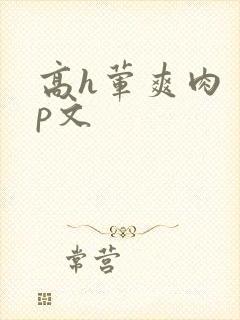 高h荤爽肉〈np文