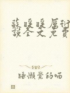 苏暖暖厉衍琛小说全文免费阅读封面