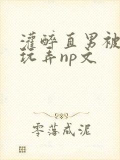 灌醉直男被下药玩弄np文