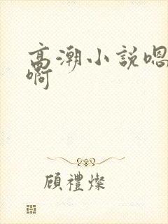 高潮小说嗯啊嗯啊