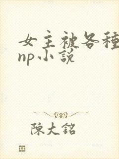 女主被各种淫玩np小说