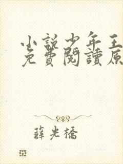 小说少年王王巍免费阅读原文