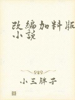 改编加料版同人小说封面