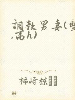 调教男妻(双性,高h)