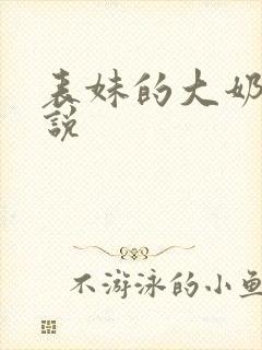 表妹的大奶子小说
