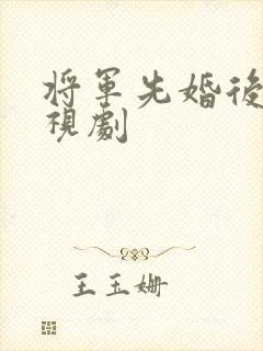 将军先婚后爱电视剧
