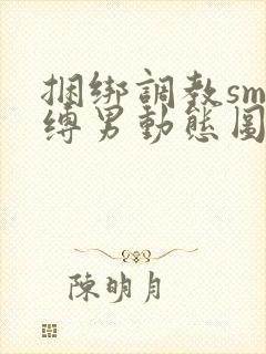 捆绑调教sm束缚男动态图