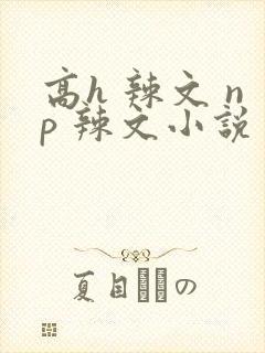 高h 辣文 np 辣文小说封面