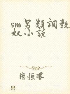 sm另类调教女奴小说