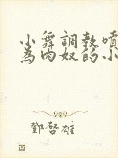 小舞调教喷水沦为肉奴的小说