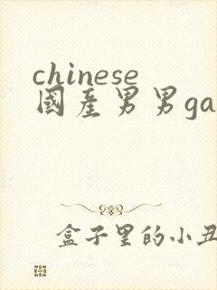 chinese国产男男gaygay网站封面