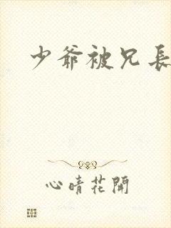 少爷被兄长罚打封面