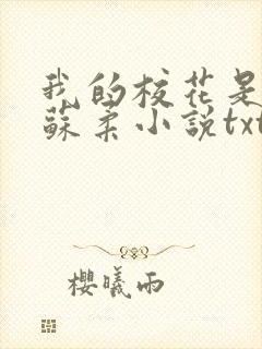 我的校花是福姬苏柔小说txt封面