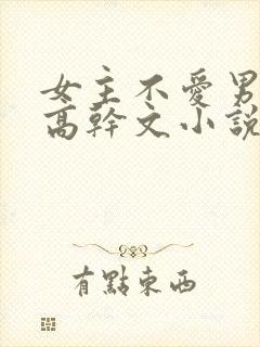 女主不爱男主的高干文小说封面