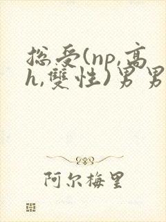 总受(np,高h,双性)男男