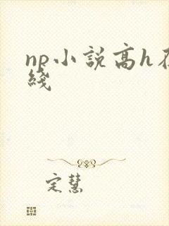 np小说高h在线