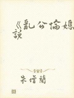 《乱公伦媳》小说封面