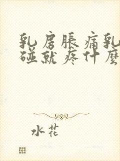 乳房胀痛乳头一碰就疼什么原因