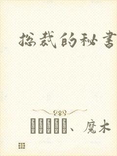 总裁的秘书小说