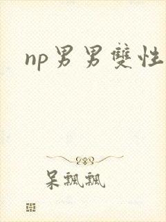 np男男双性文