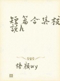 短篇合集校园小说h