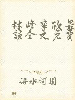 林峰宁欣最新小说全文免费阅读封面