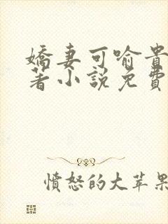 娇妻可喻贵哥原著小说免费阅读封面