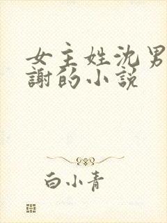 女主姓沈男主姓谢的小说