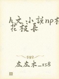 h文小说np校花校长