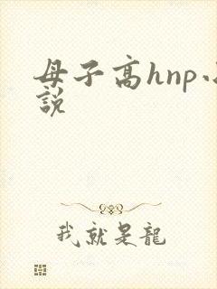 母子高hnp小说