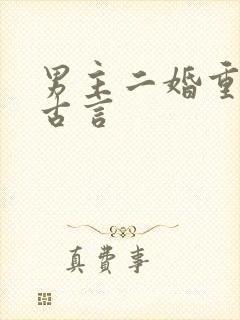 男主二婚重欲的古言